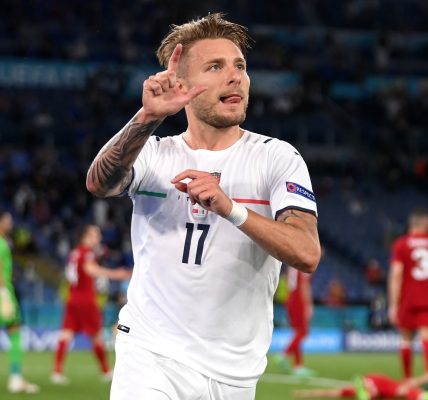 The development process and remarkable progress of Immobile